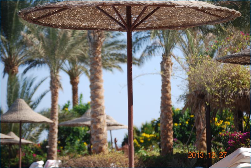 sharm 12 151